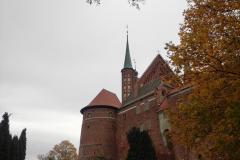 IMG_20211019_104919-Copy