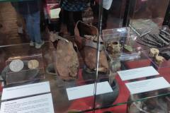 IMG_20211019_122059-Copy