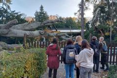 20211028_152813-Copy